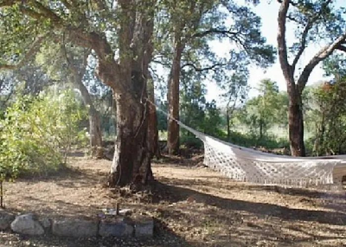 Quiet Near Center * Porto-Vecchio (Corsica)