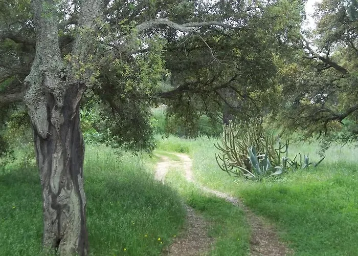 Quiet Near Center *